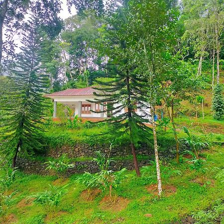 Anivilla Holiday Home Kunjithanny Anachal Экстерьер фото