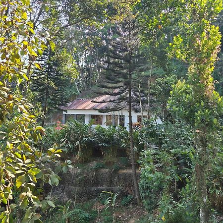 Anivilla Holiday Home Kunjithanny Anachal Экстерьер фото