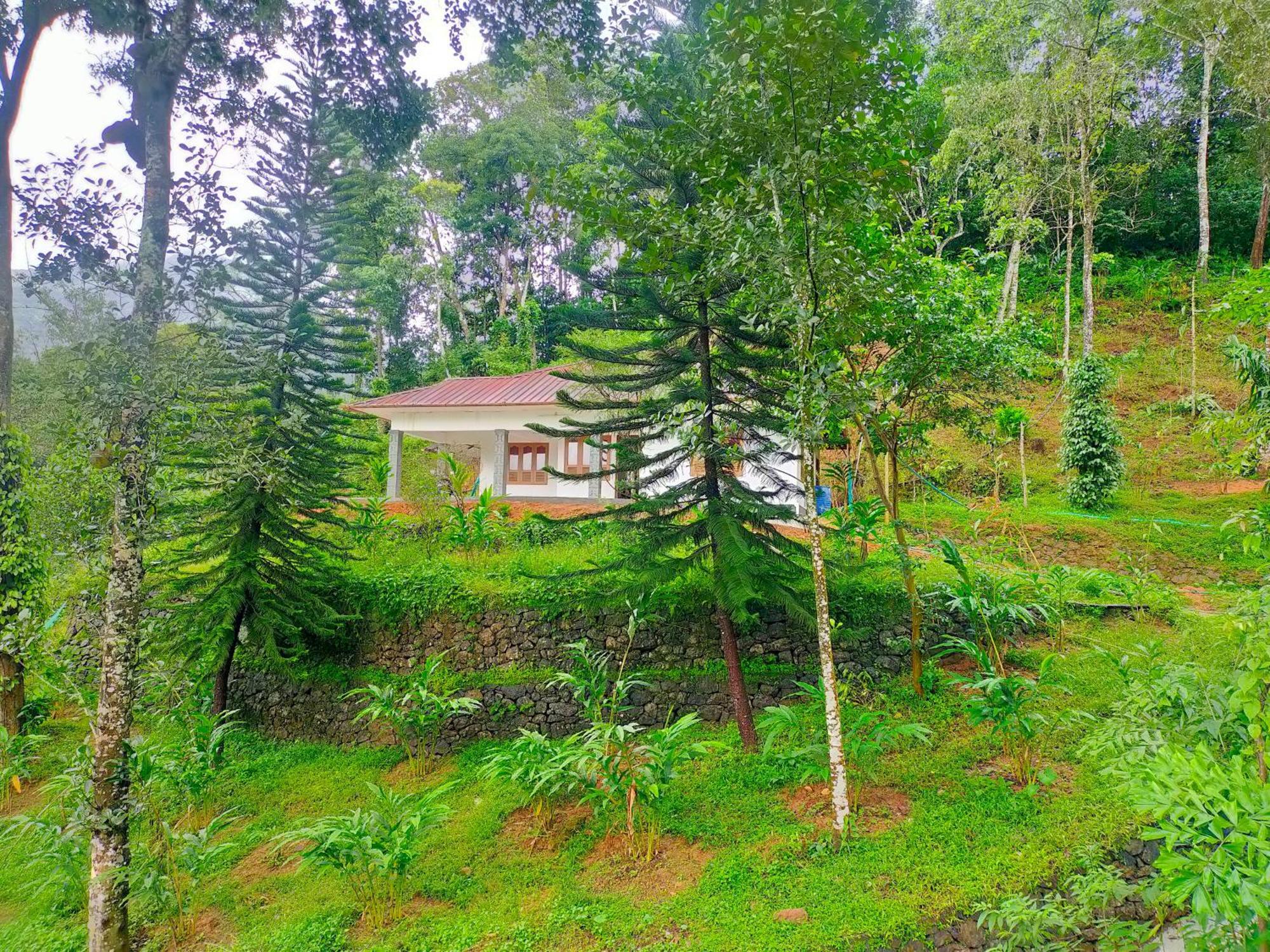 Anivilla Holiday Home Kunjithanny Anachal Экстерьер фото