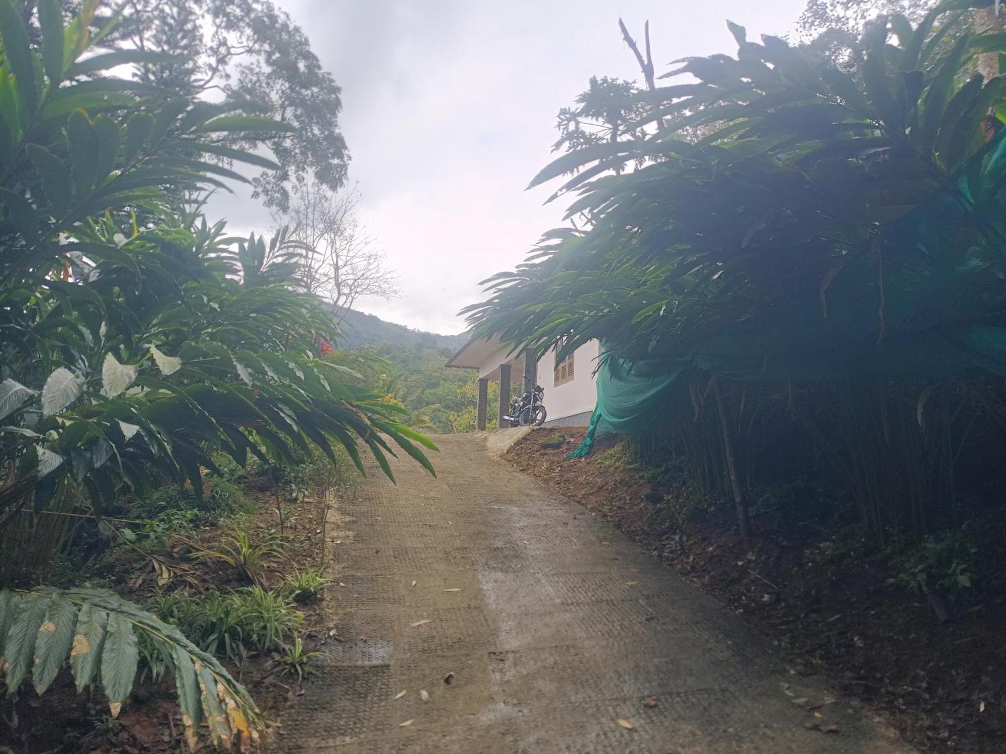 Anivilla Holiday Home Kunjithanny Anachal Экстерьер фото