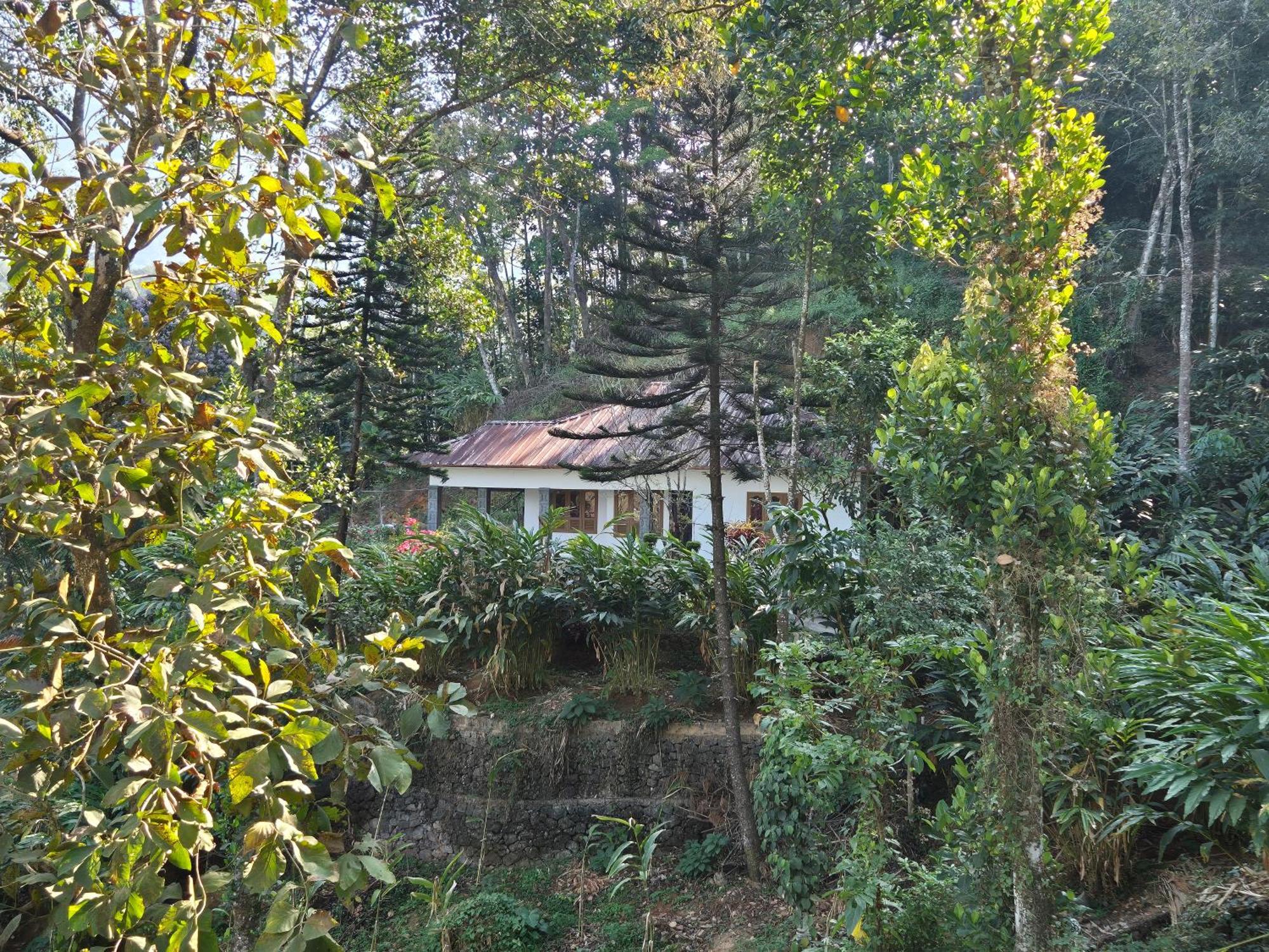 Anivilla Holiday Home Kunjithanny Anachal Экстерьер фото